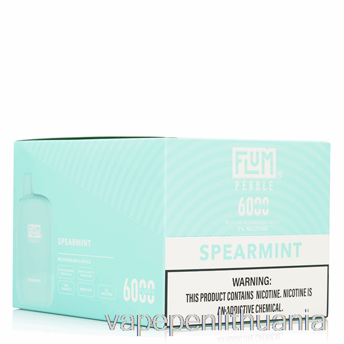 [10 Pak.] Flum Pebble 6000 Vienkartinis Vape Skystis